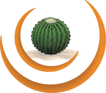 lusundvu